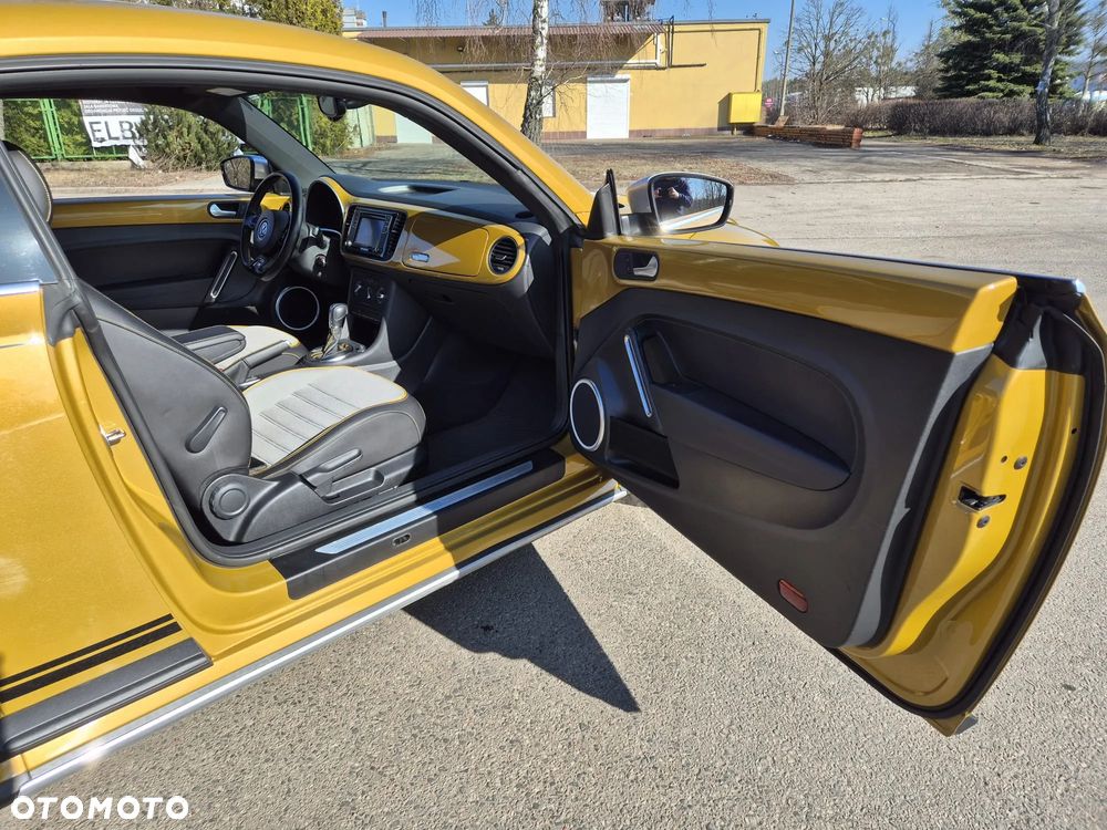 Volkswagen Beetle - 19