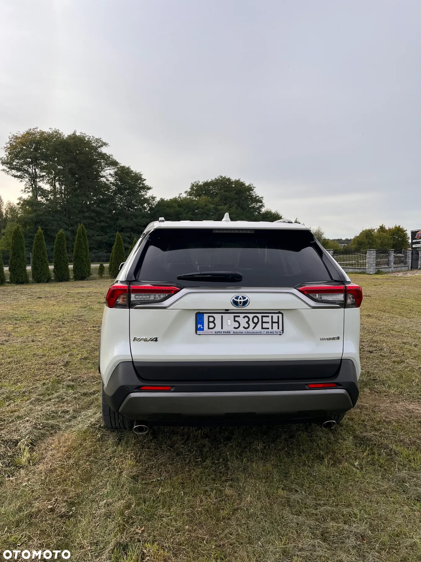 Toyota RAV4 2.5 Hybrid Executive 4x2 - 3