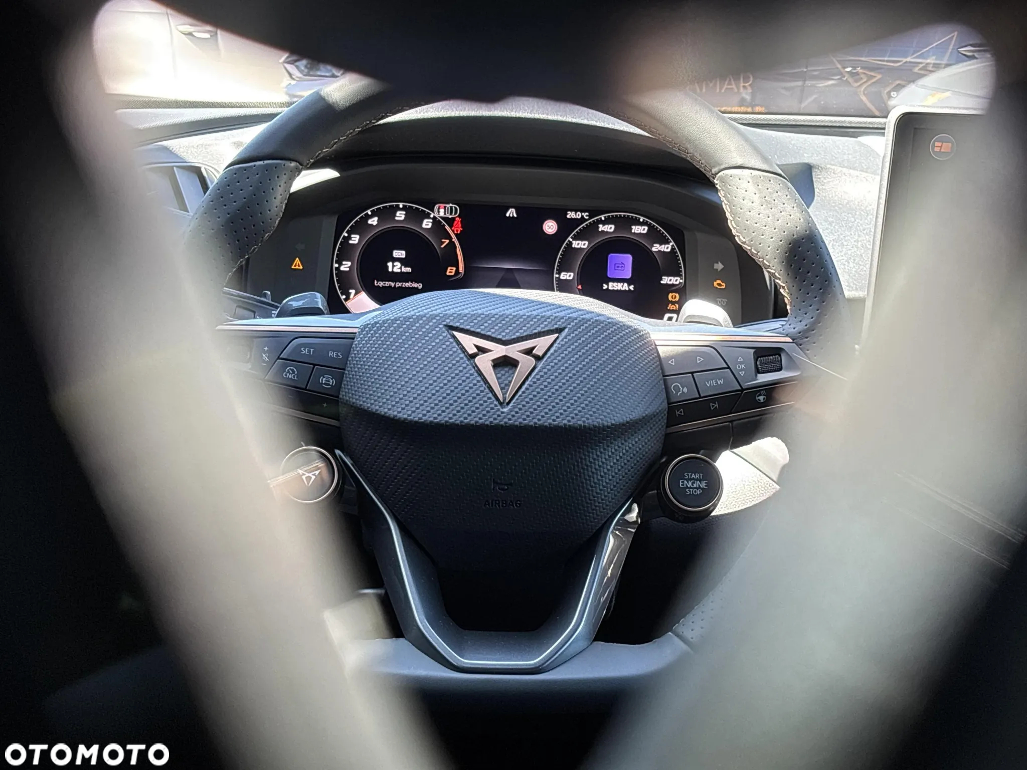 Cupra Terramar 2.0 TSI 4Drive DSG - 25