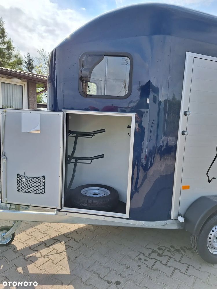 Cheval Liberte Gold Origin Debon - 7