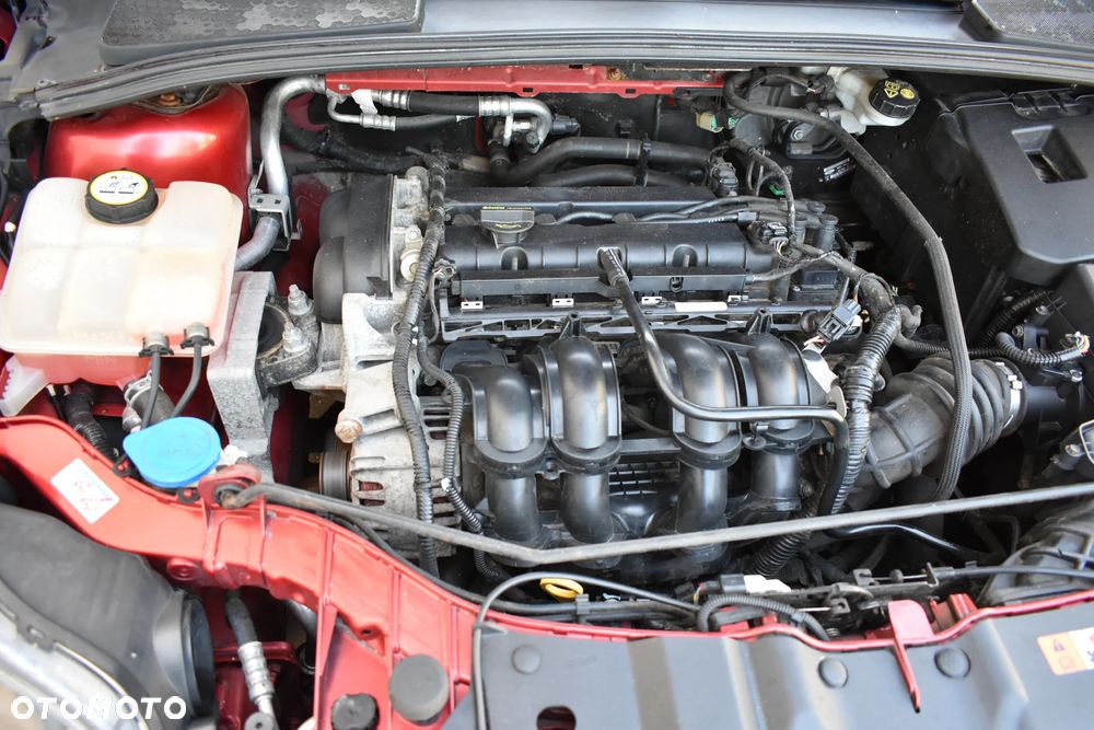 Ford Focus 1.6 TI-VCT Titanium - 8