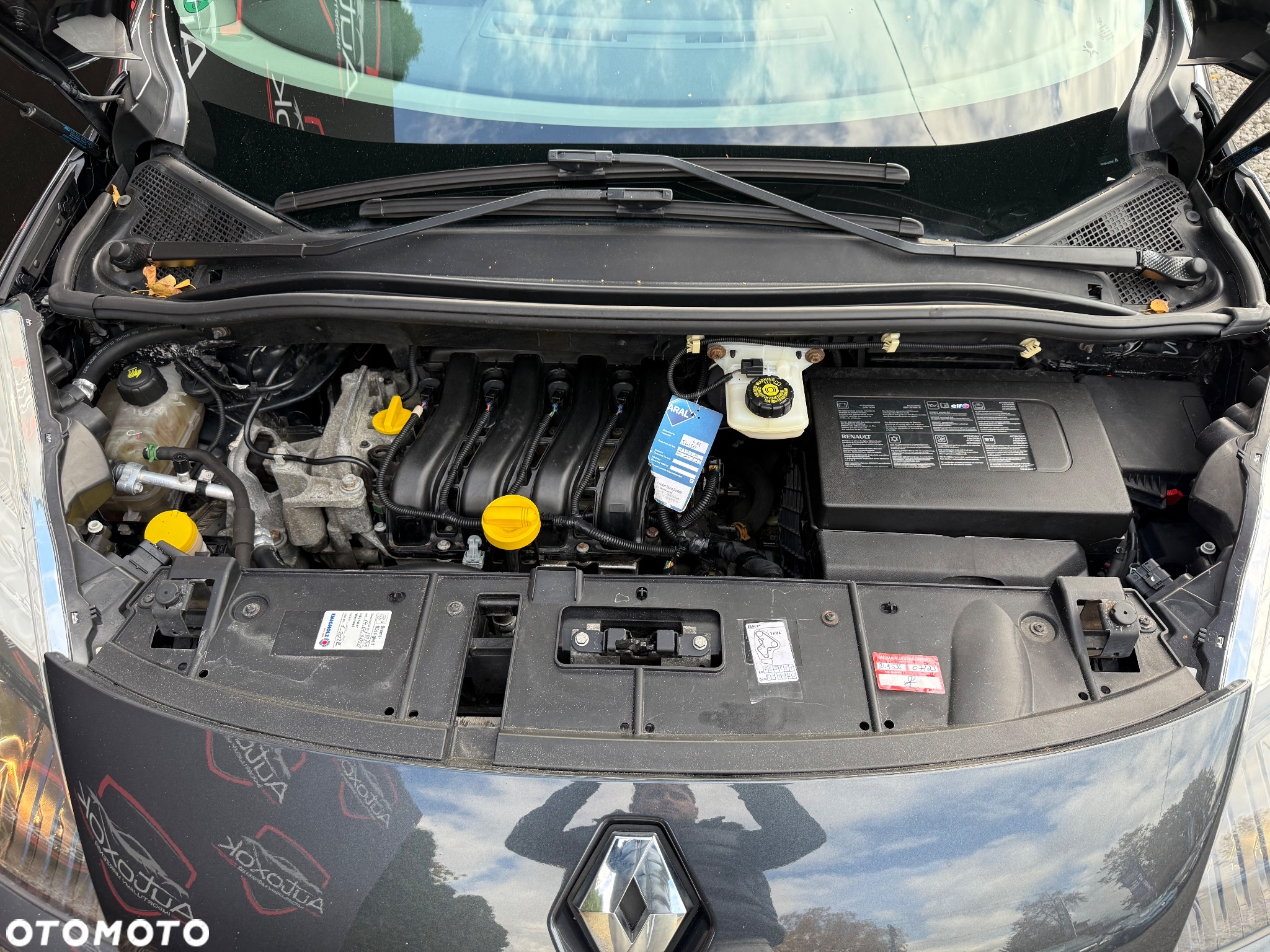 Renault Scenic - 32