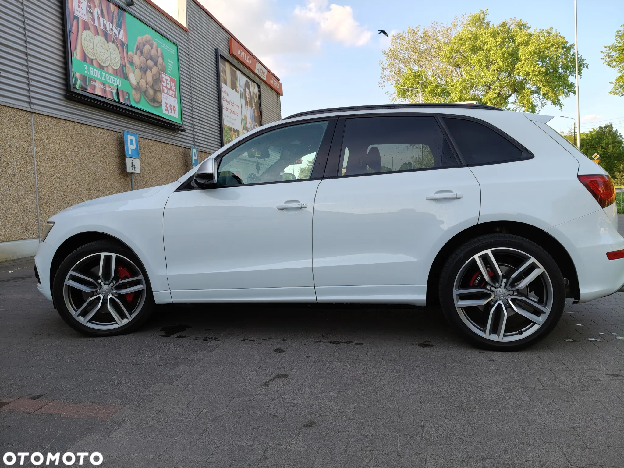 Audi SQ5 3.0 TDI Quattro Competition - 13