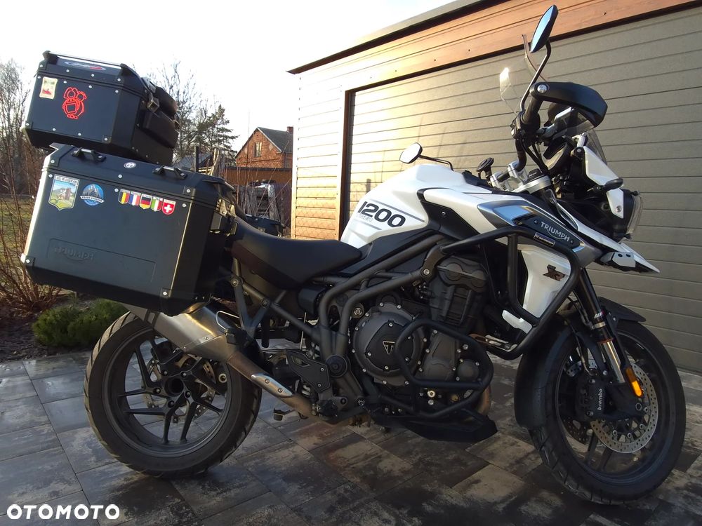 Triumph Tiger - 15