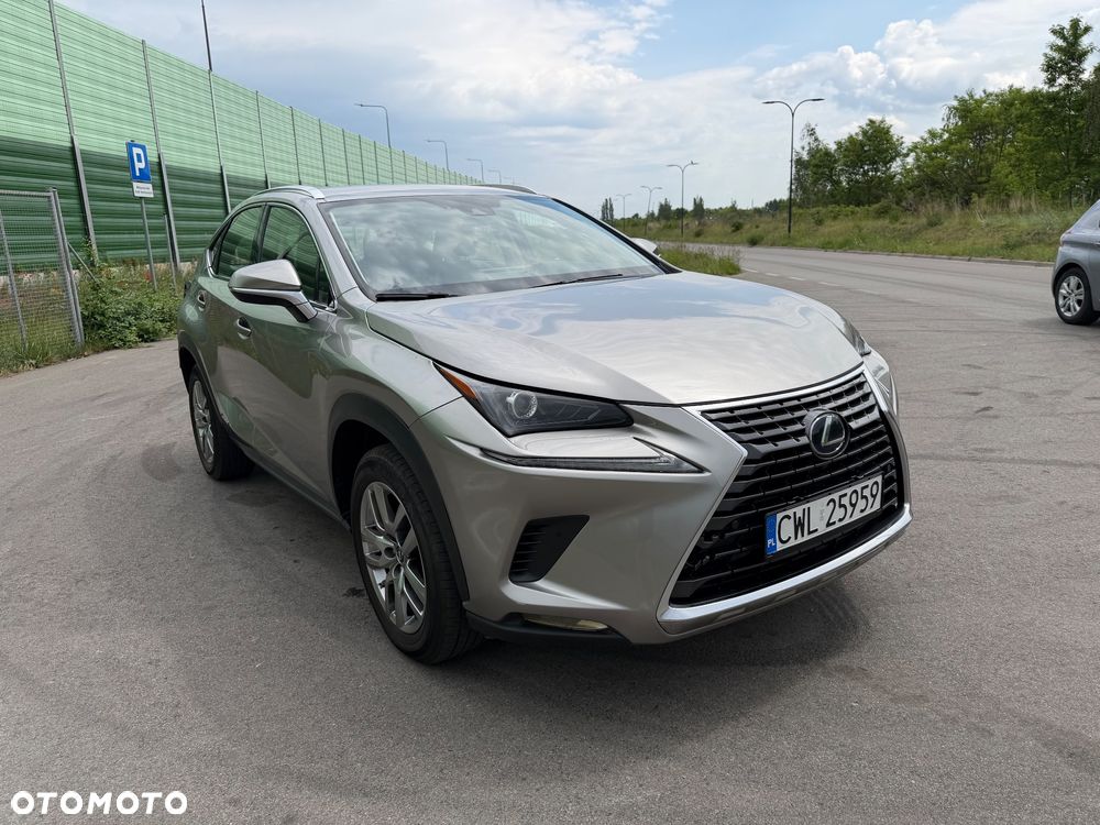 Lexus NX - 17