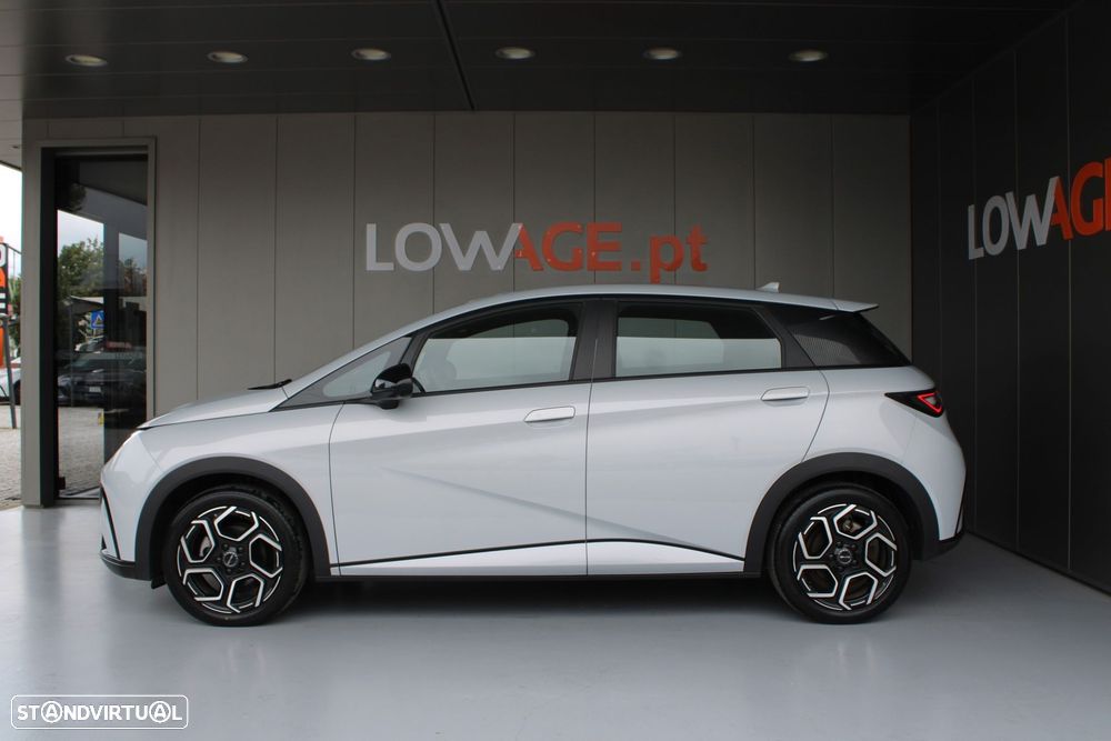 BYD Dolphin 60.4 kWh Comfort - 19