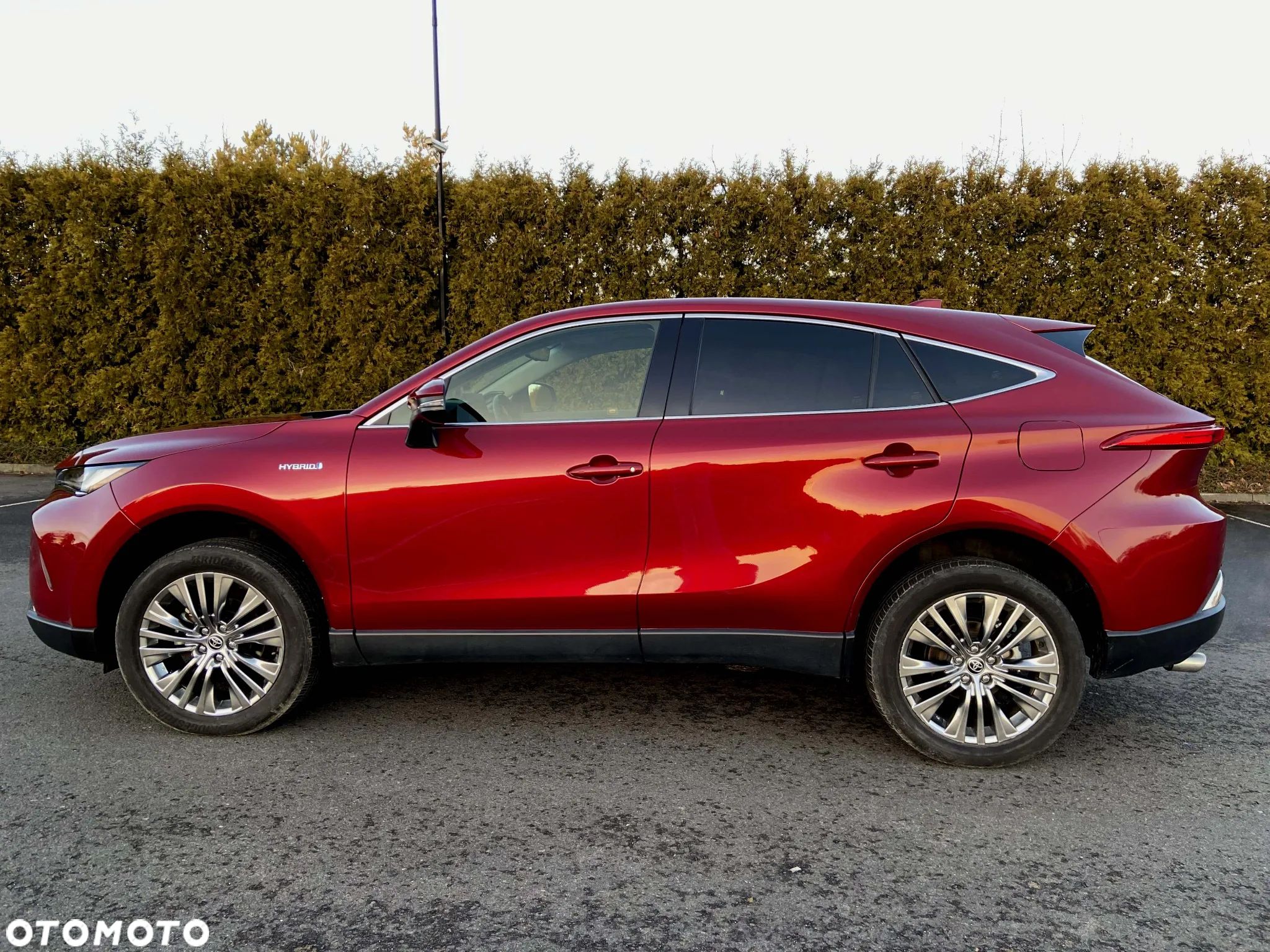 Toyota Venza - 1