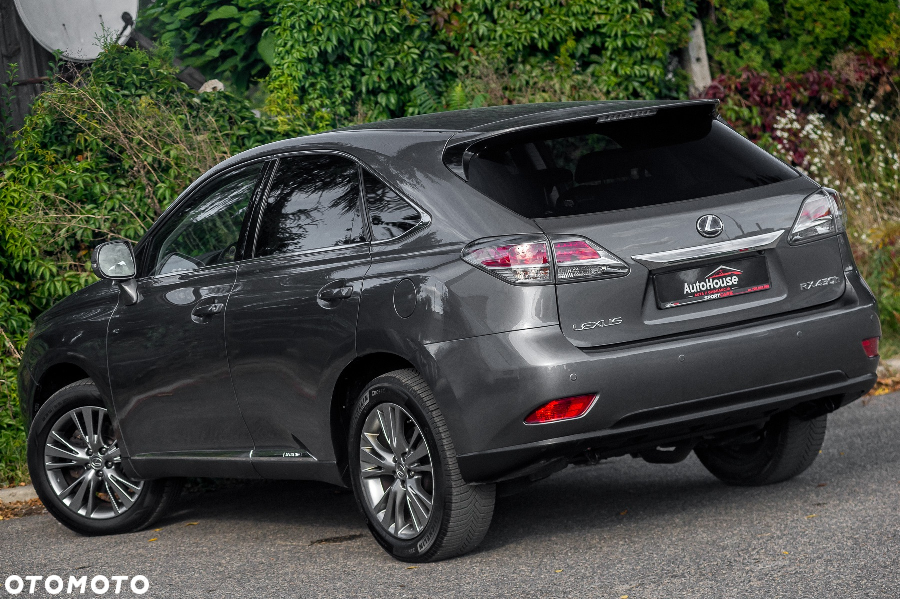 Lexus RX 450h (hybrid) Executive Line - 8