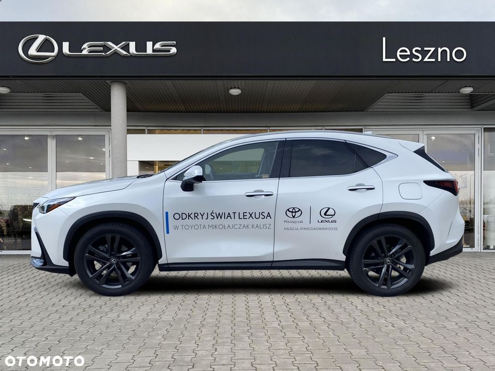 Lexus NX - 10