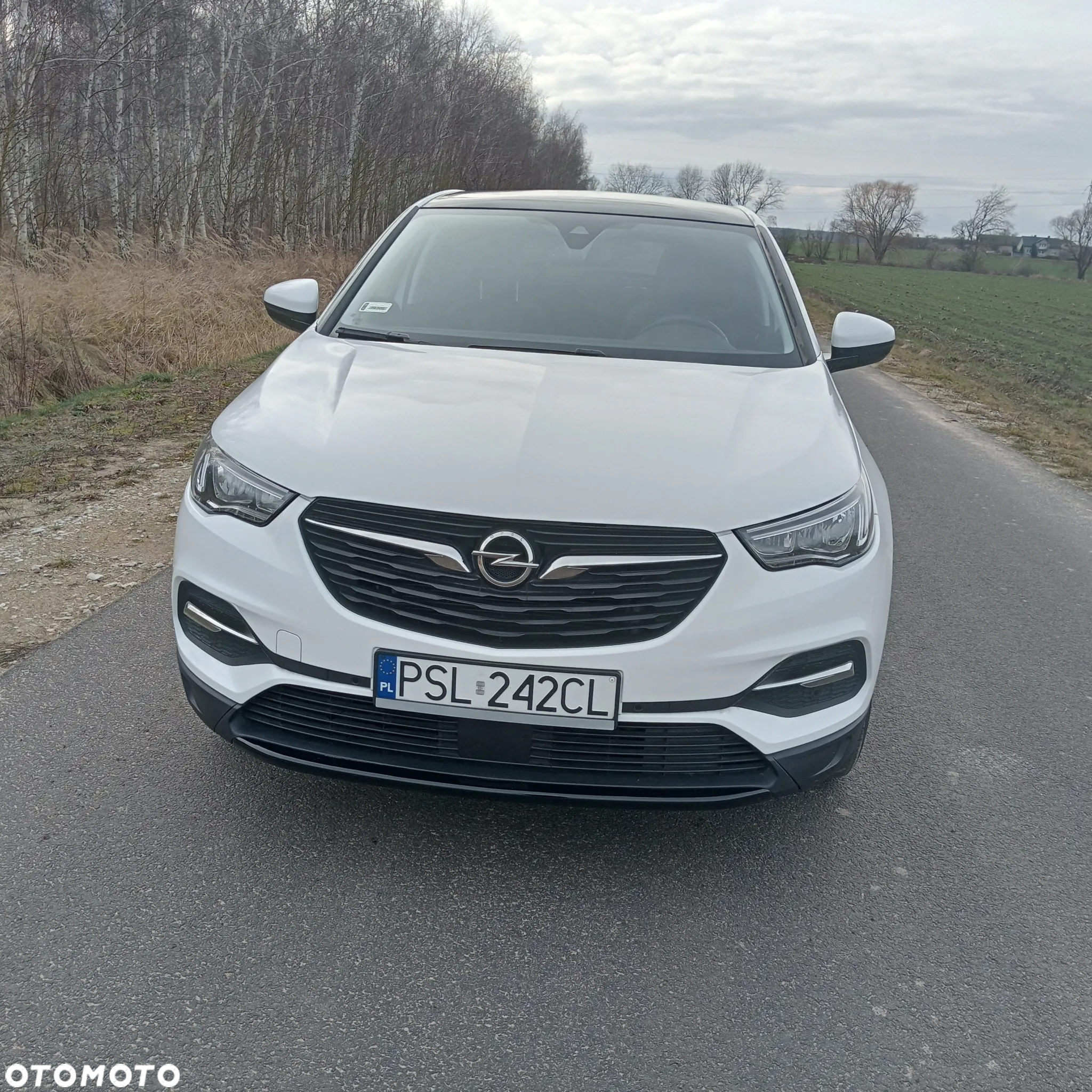 Opel Grandland X 1.2 T Enjoy S&S - 12