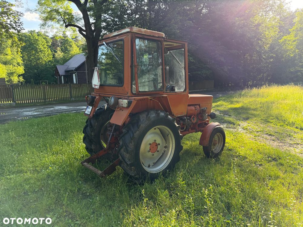 Inny WLADIMIREC T25A - 3