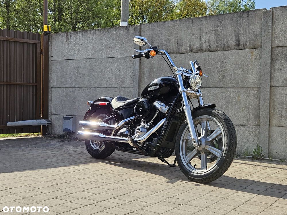 Harley-Davidson Softail Standard - 19