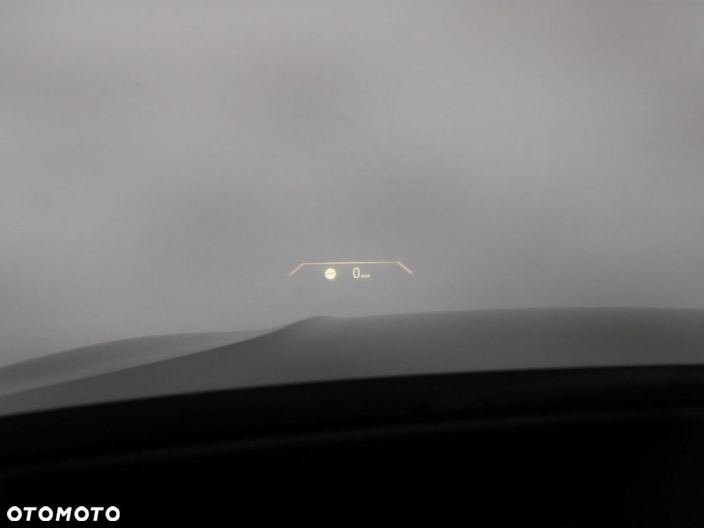 BMW Seria 3 318i - 39