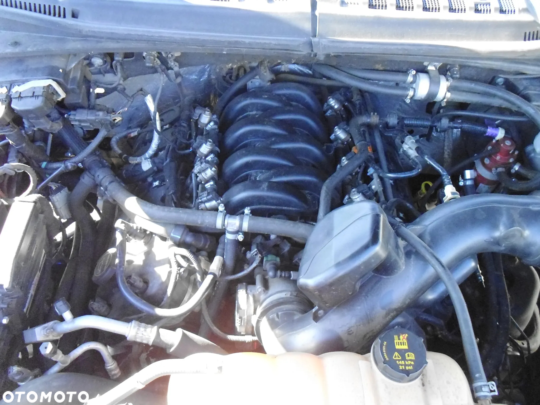 Ford F150 - 19