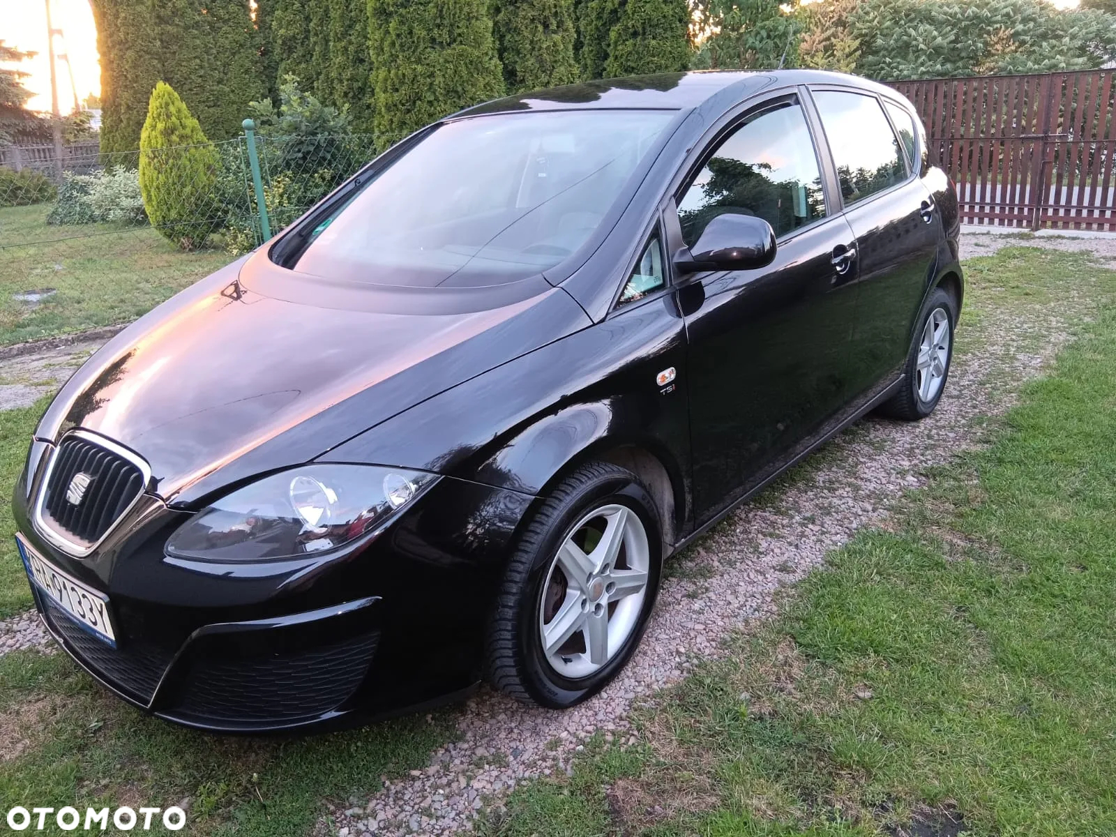 Seat Altea - 2