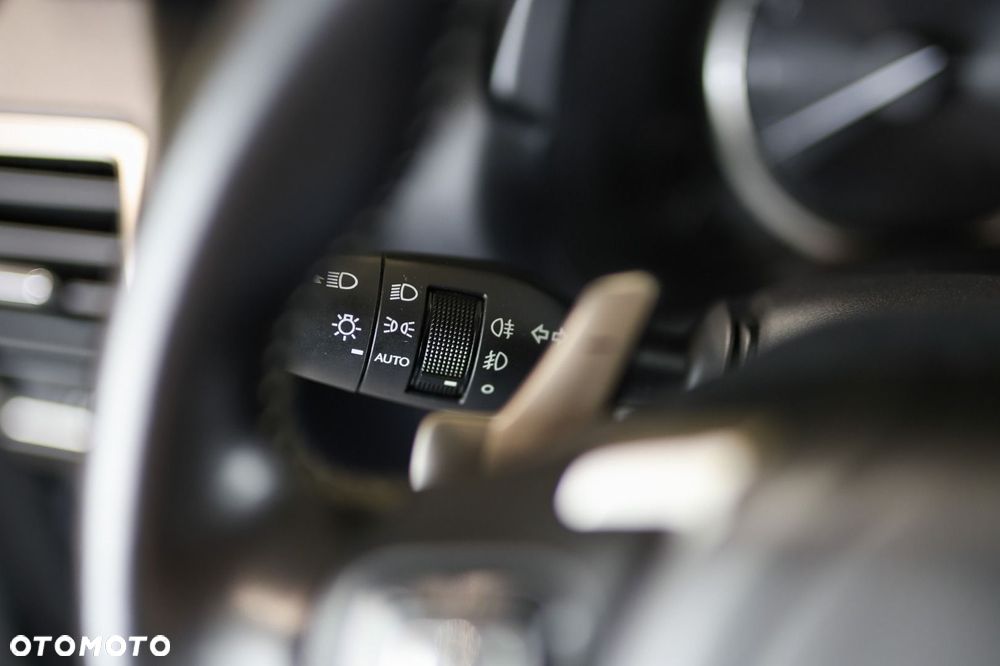 Lexus NX - 19