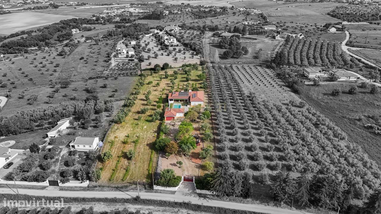 Quinta com piscina e vista sobre o Ribatejo, entre conforto e natureza - Grande imagem: 3/60
