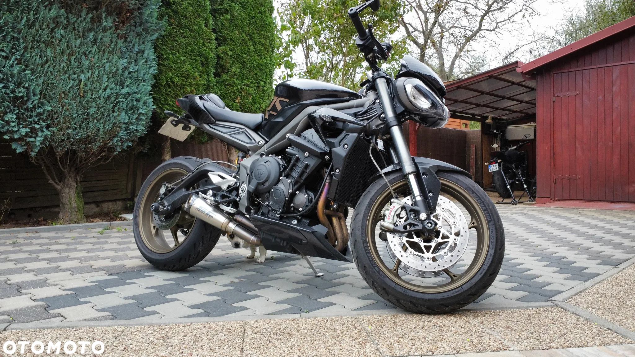 Triumph Street Triple - 10