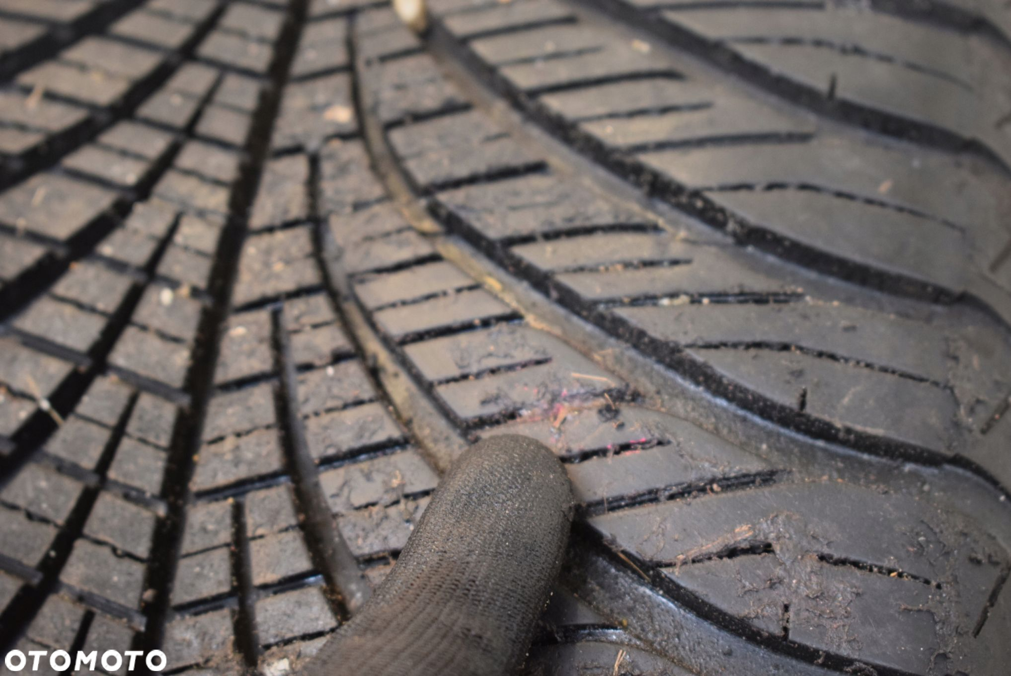 R19 255/55 Goodyear Vector 4 Seasons GEN-2 SUV Cena za parę - 11
