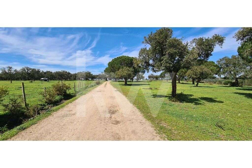 HERDADE COM 190 HA EM BENAVENTE, DISTRITO DE SANTARÉM - Grande imagem: 2/26