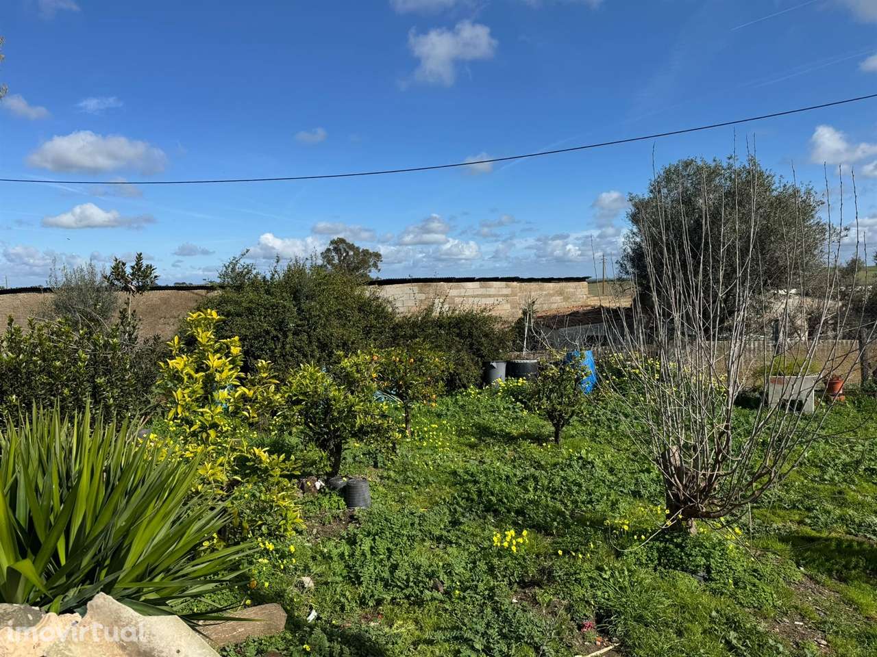 Habitação 4 divisões para remodelar, Castro Verde, Alentejo, Portugal - Grande imagem: 2/14