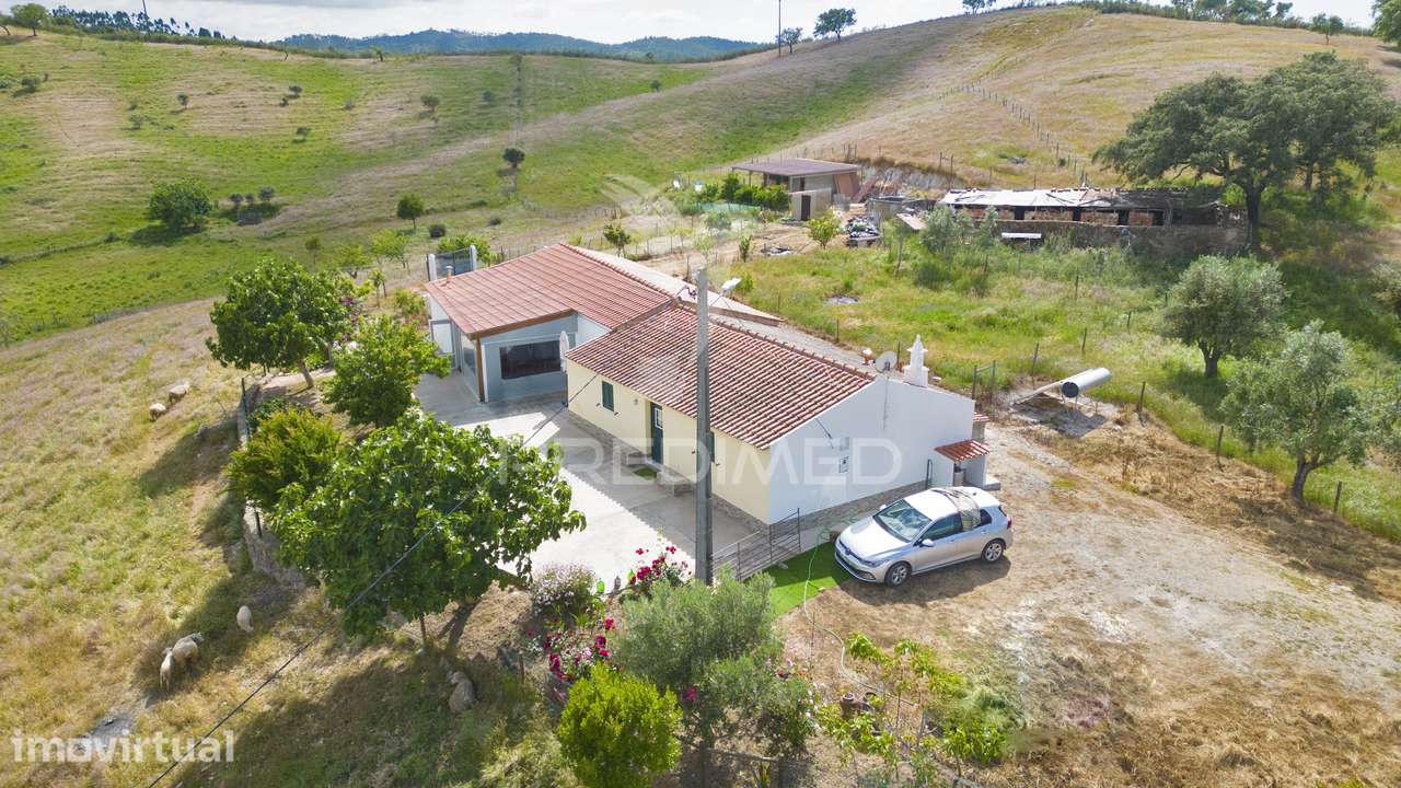 Quinta com 7,500 ha em São Martinho das Amoreiras - Grande imagem: 5/33