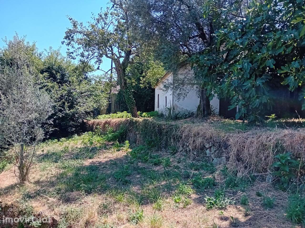 Moradia, 1 200 m², Cabaços e Fojo Lobal - Grande imagem: 3/8