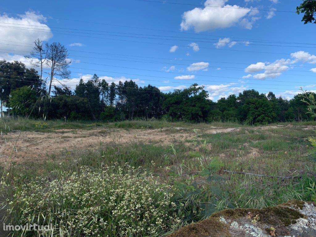 Quinta - Viseu - Grande imagem: 4/5