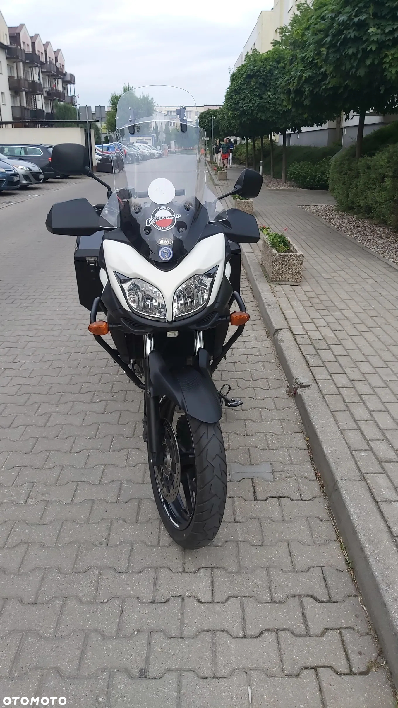 Suzuki DL
