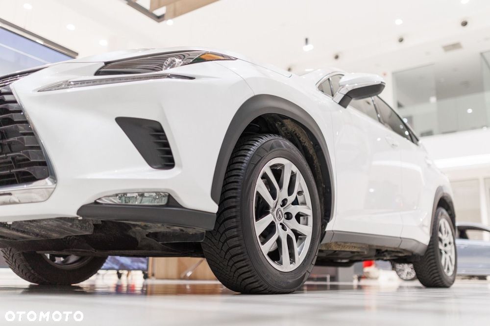 Lexus NX - 25