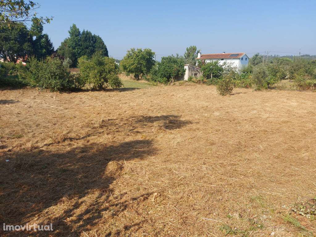 Terreno no aglomerado Urbano p/ venda Côja - Grande imagem: 3/9