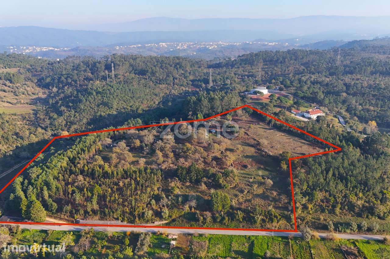 Quinta com cerca de 5,5ha - Património Natural com Potencial Único