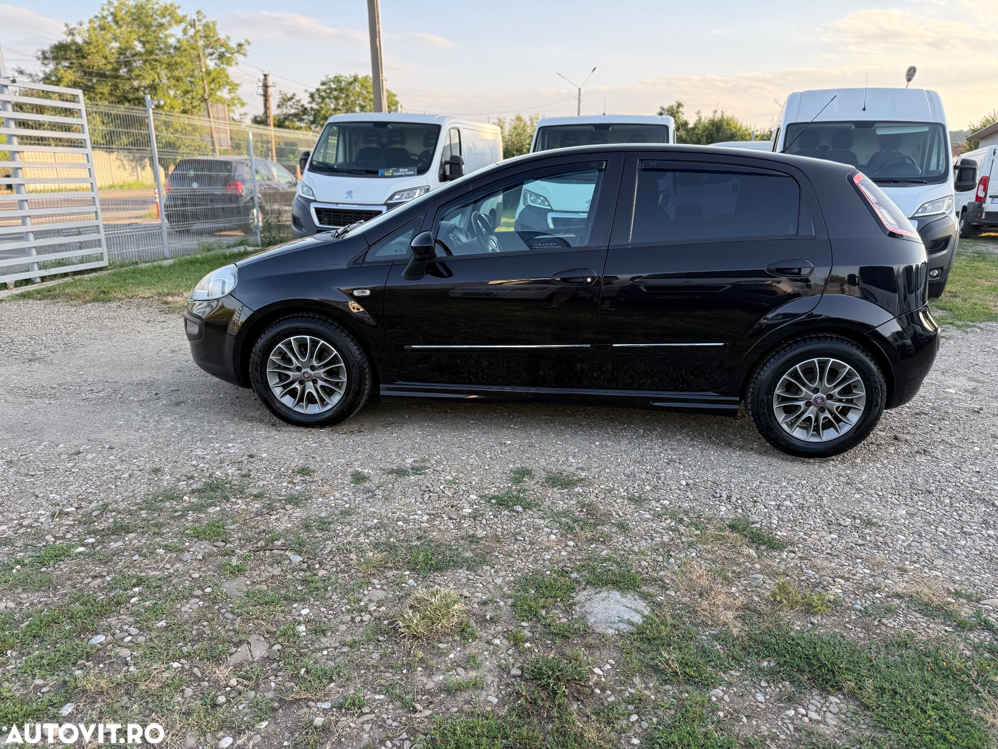 Fiat Punto 1.3 Multijet Classico - 8