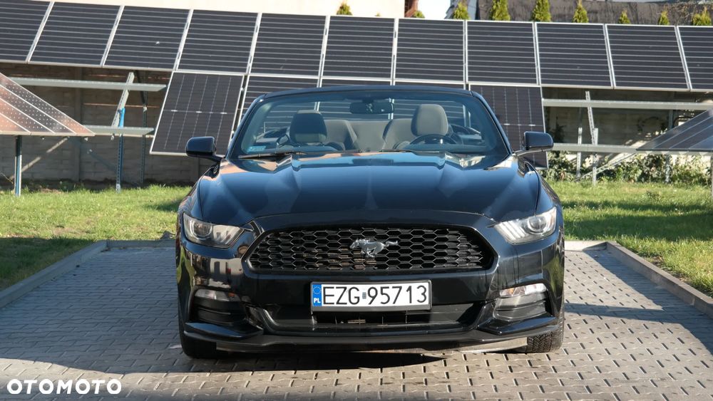 Ford Mustang 3.7 V6 - 15