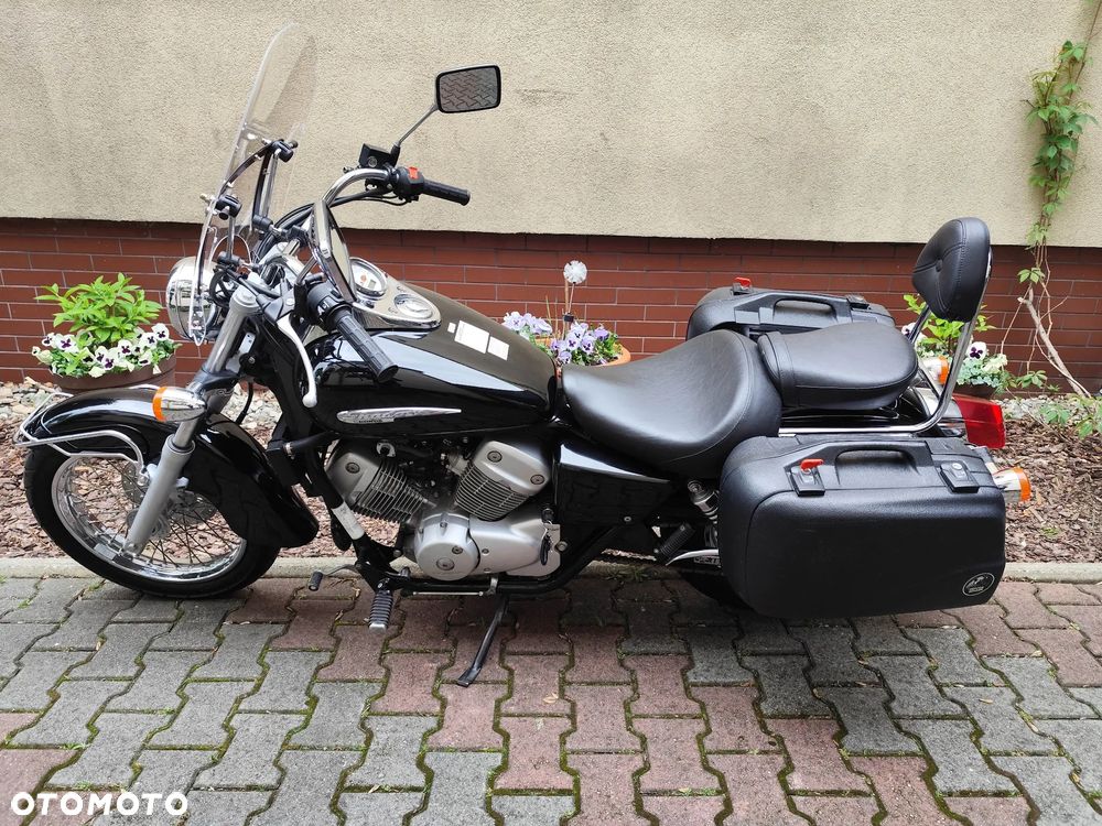 Honda Shadow - 12