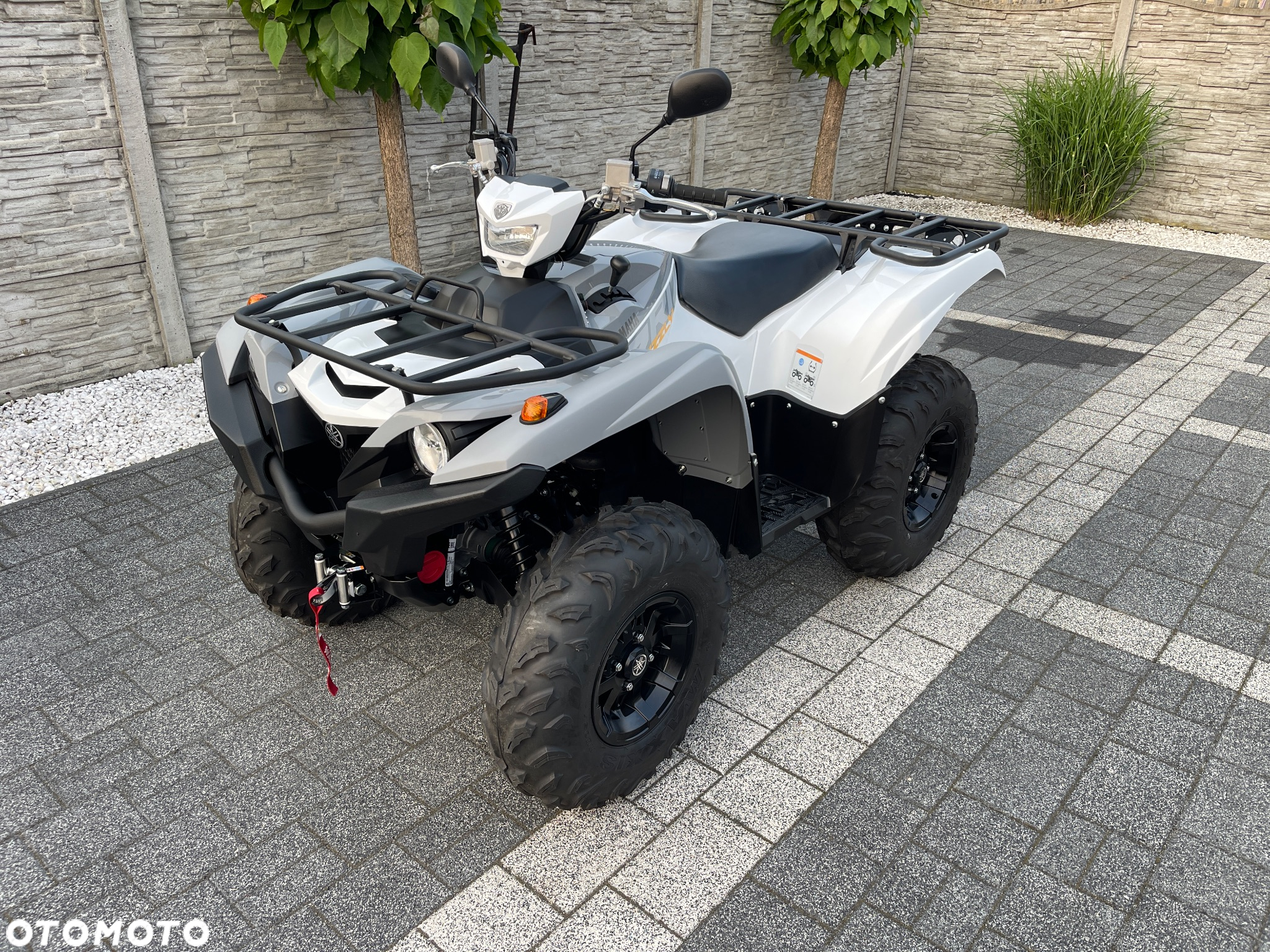 Yamaha Grizzly