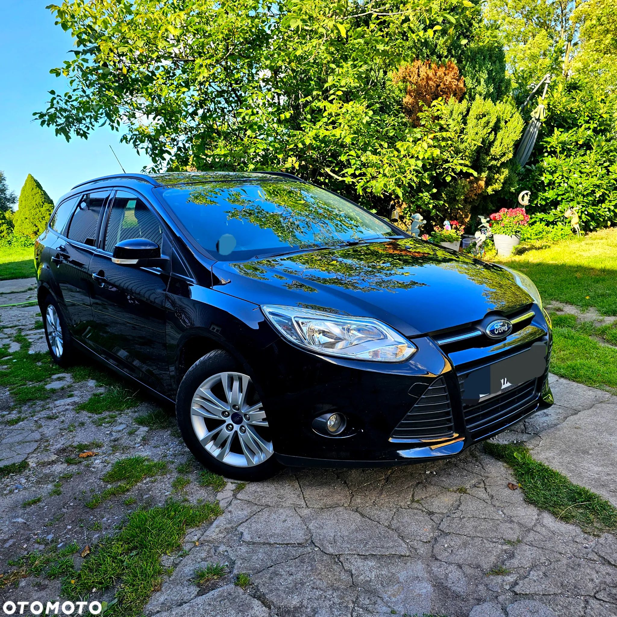 Ford Focus - 1