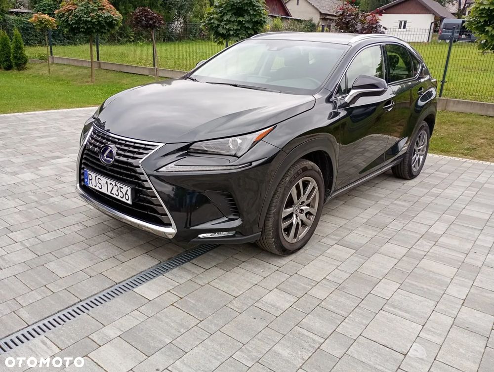 Lexus NX 300h Elite 2WD - 4