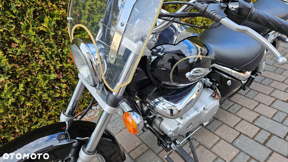 Suzuki Intruder - 31