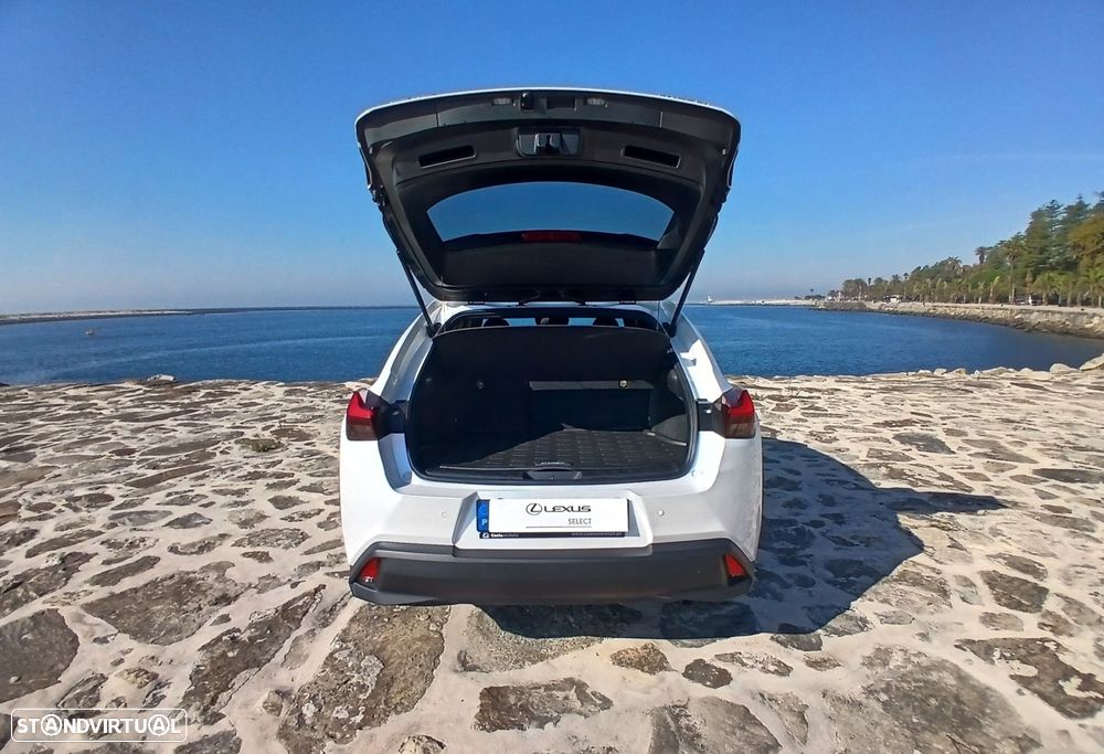 Lexus UX 250h Special Edition (LCA) - 14