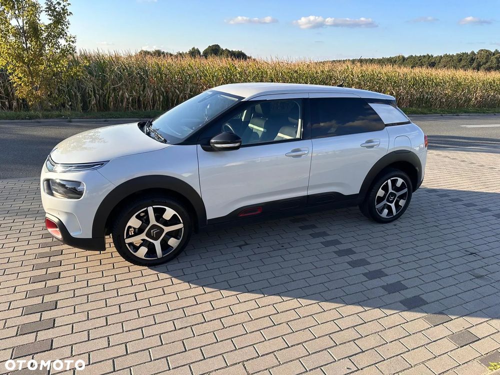 Citroën C4 Cactus 1.2 PureTech Shine S&S - 17