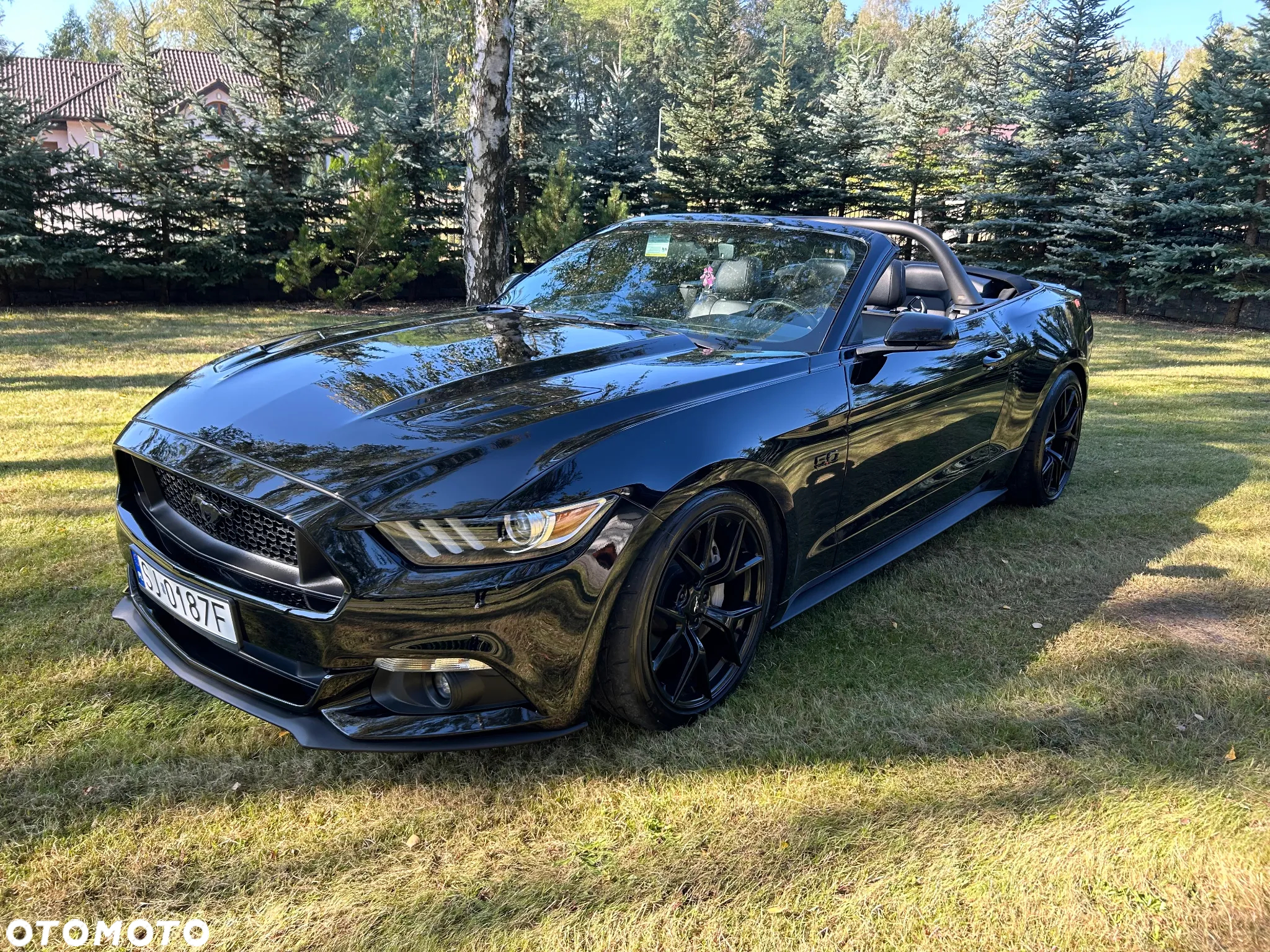 Ford Mustang - 15