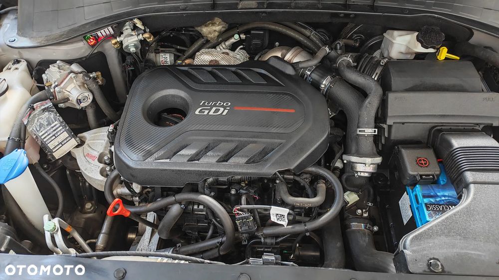 Kia Sorento - 23