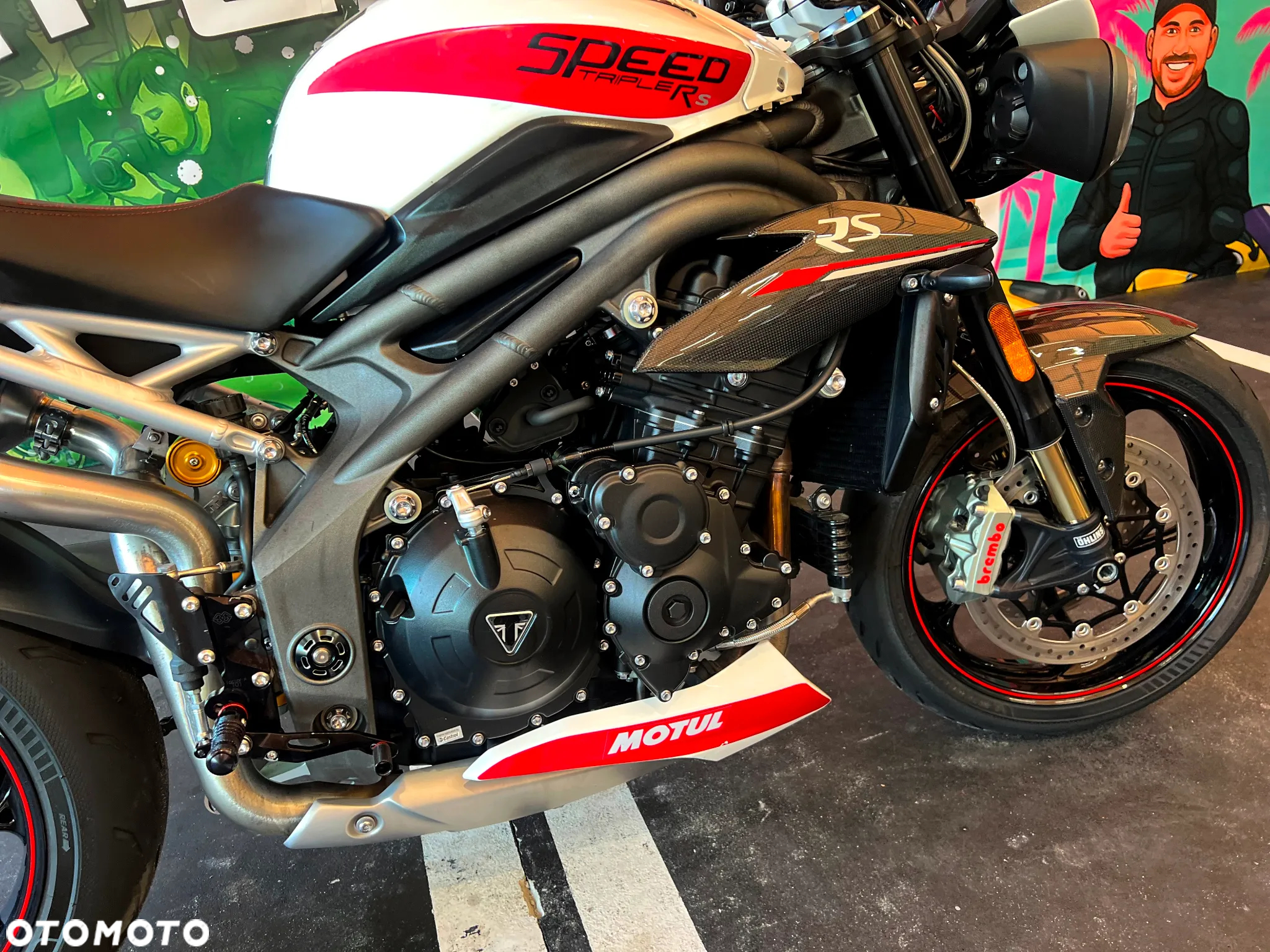 Triumph Speed Triple - 17