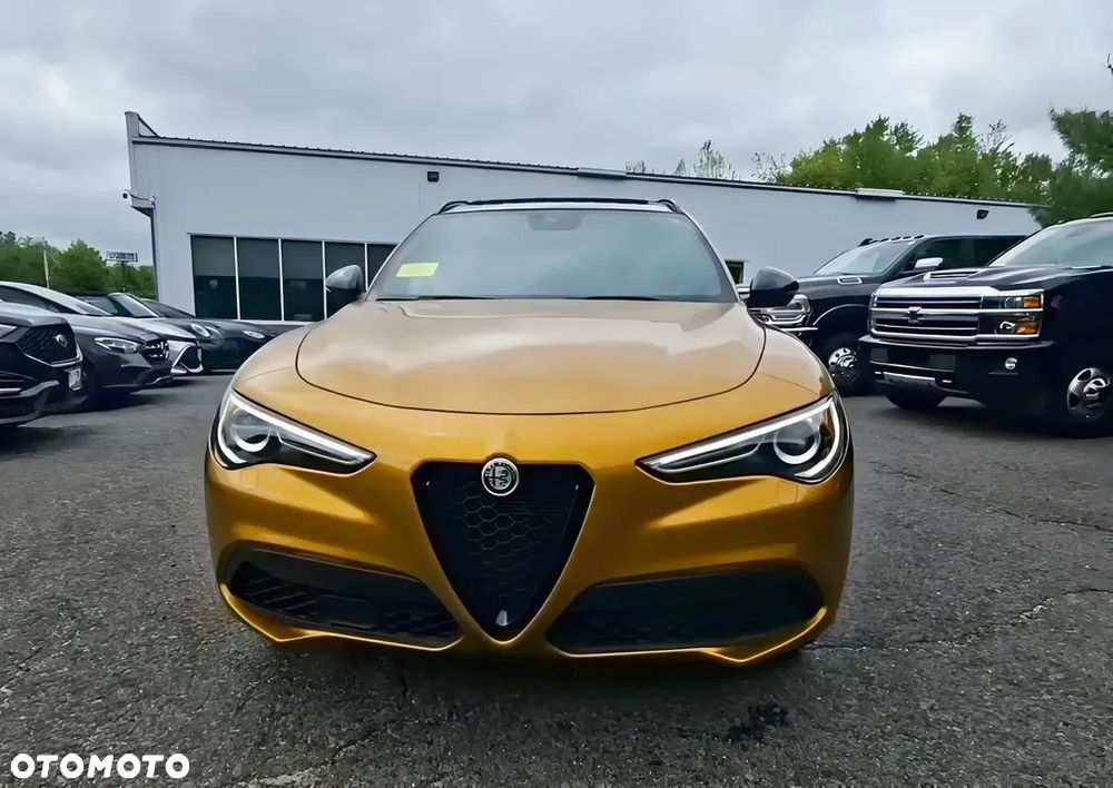 Alfa Romeo Stelvio 2.0 Turbo 16V AT8-Q4 Veloce - 2
