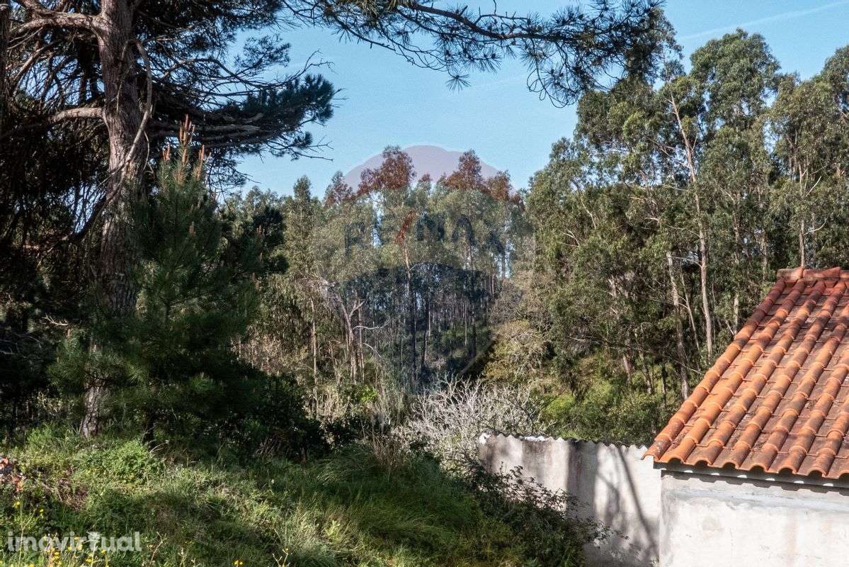 Terreno  para venda - Grande imagem: 3/17