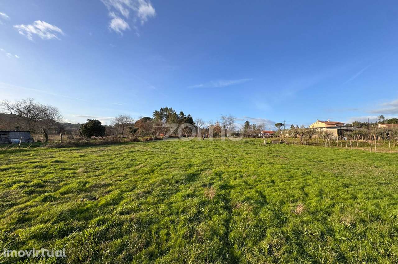 Terreno, 3 000 m², Cunha Baixa - Grande imagem: 2/15