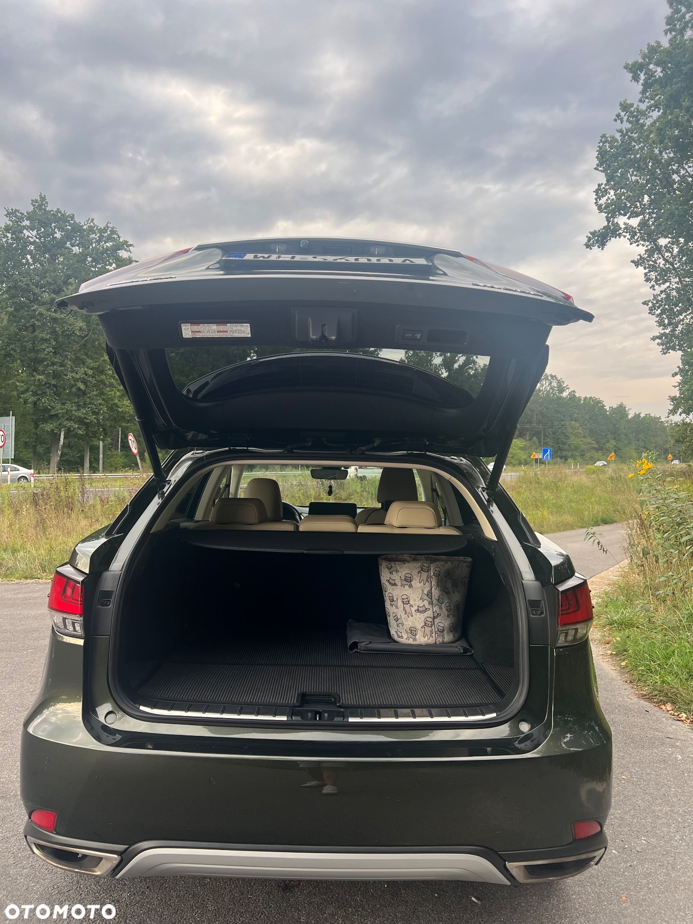 Lexus RX 300 Business Edition + - 7