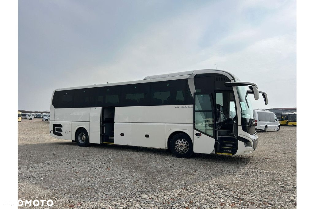 MAN Lions Coach - 23