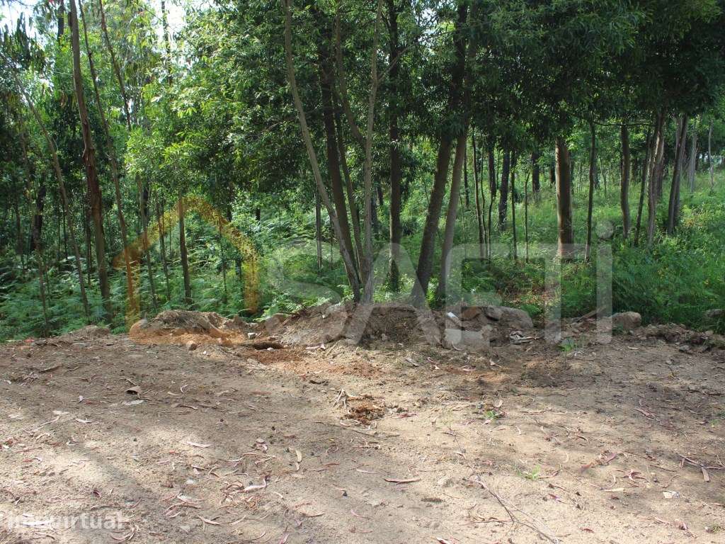 Terreno construtivo - Grande imagem: 5/10